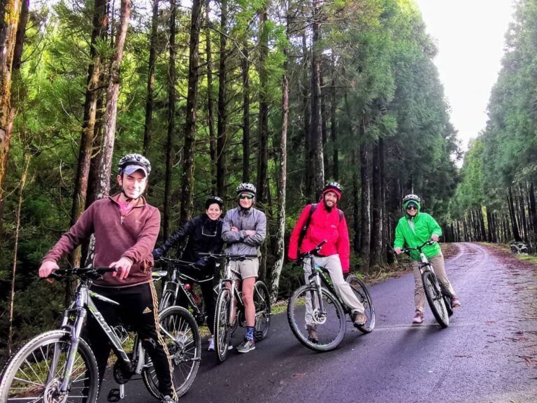 Santa Barbara Downhill: Experience the perfect blend of adrenaline-pumping activity and immersive natural beauty with our Santa Barbara Downhill Bike Tour on Terceira Island. Get ready to conquer the highest point of the island and embark on an exhilarating adventure as you descend towards the enchanting city of Angra do Heroísmo.